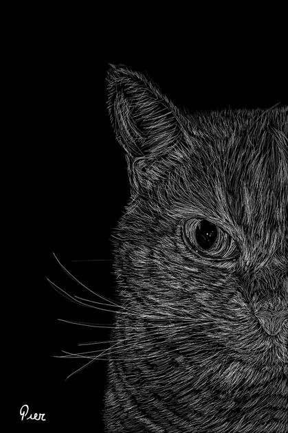 Lulu - A digital print from my series Portraits